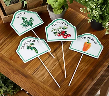 Girl Next Door Set of 4 Veggie Garden Plant Picks