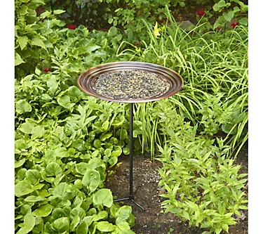 20" Bronze Ripples Birdbath w/ Garden Pole by Good Directions