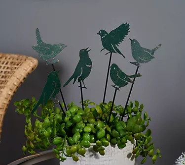 Garden Reflections Set of 6 Birds Decorative Plant Picks