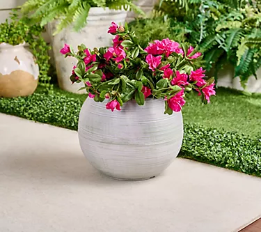 Garden Reflections 13" Round Planter By Sandra