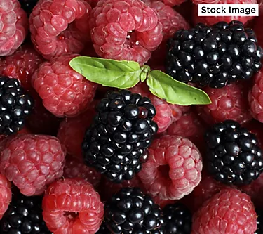 Cottage Farms 2-Piece Everbearing Berry Duo Live Plants