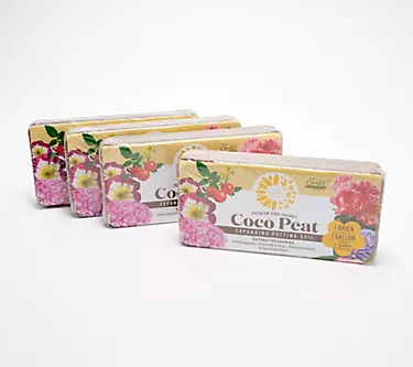 Girl Next Door 4-Piece Coco Peat Soil Bricks