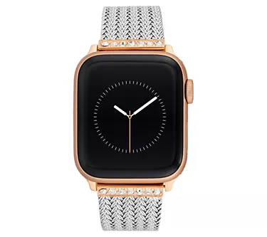 WITHit Anne Klein Chain and Mesh Band  for Apple Watch